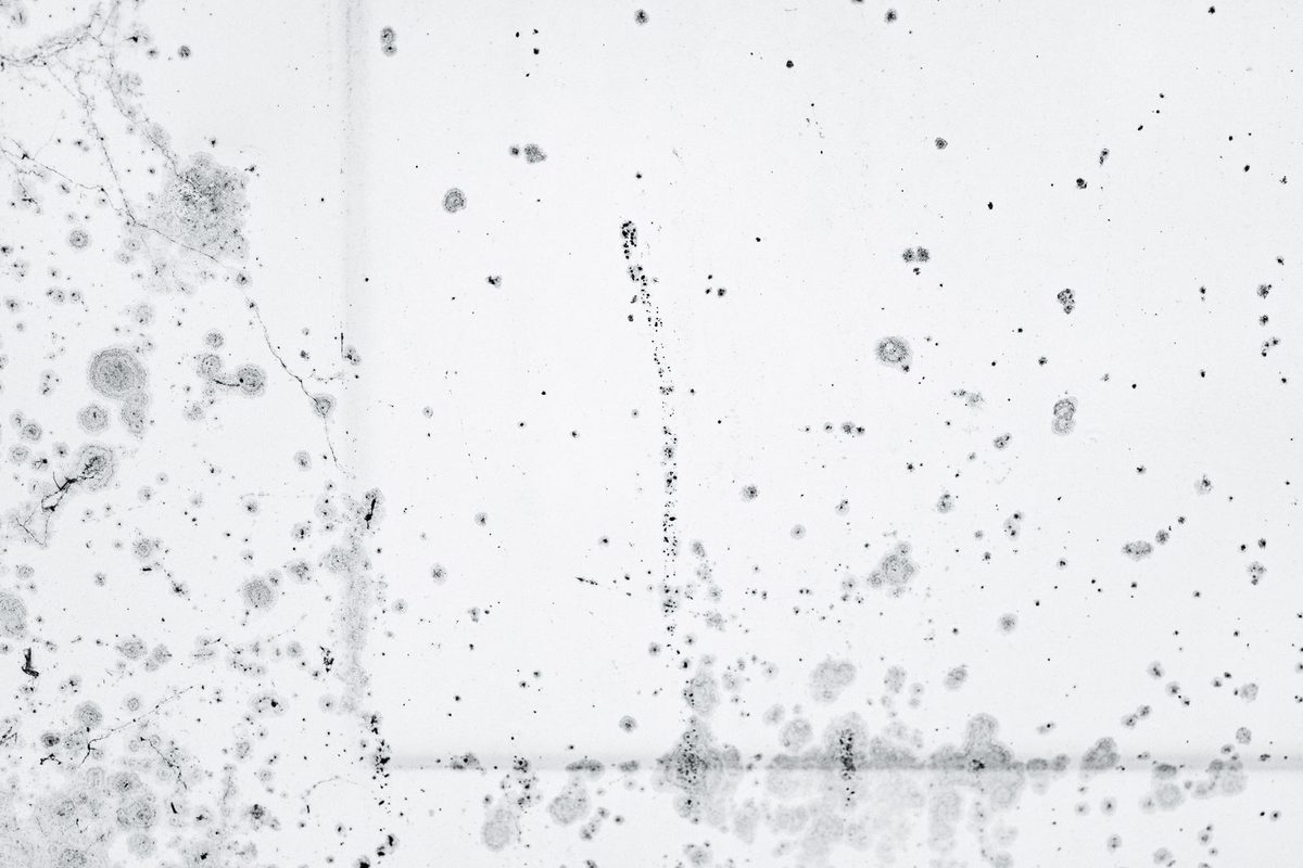 Dark black mold spotting on a surface, the kind of growth black mold removal addresses